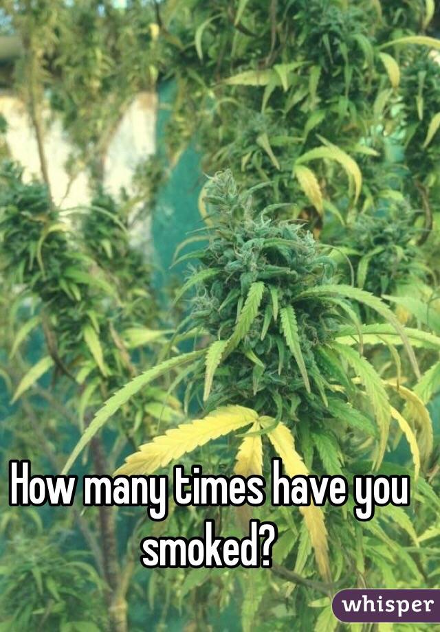 How many times have you smoked?