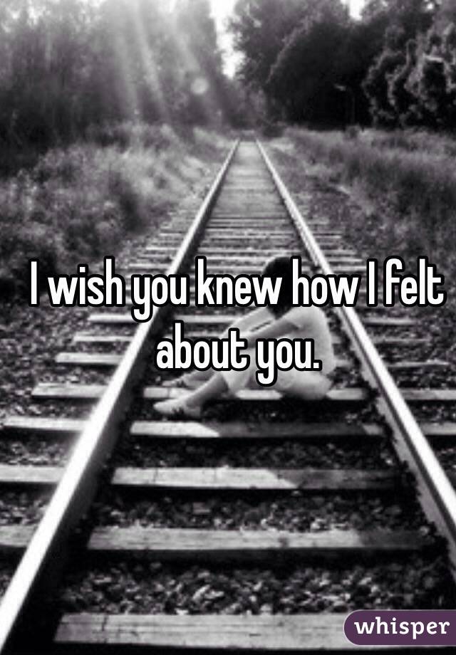 I wish you knew how I felt about you.