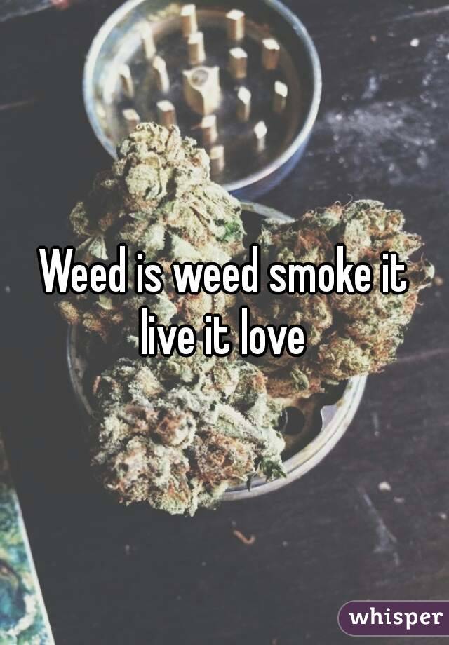 Weed is weed smoke it live it love 