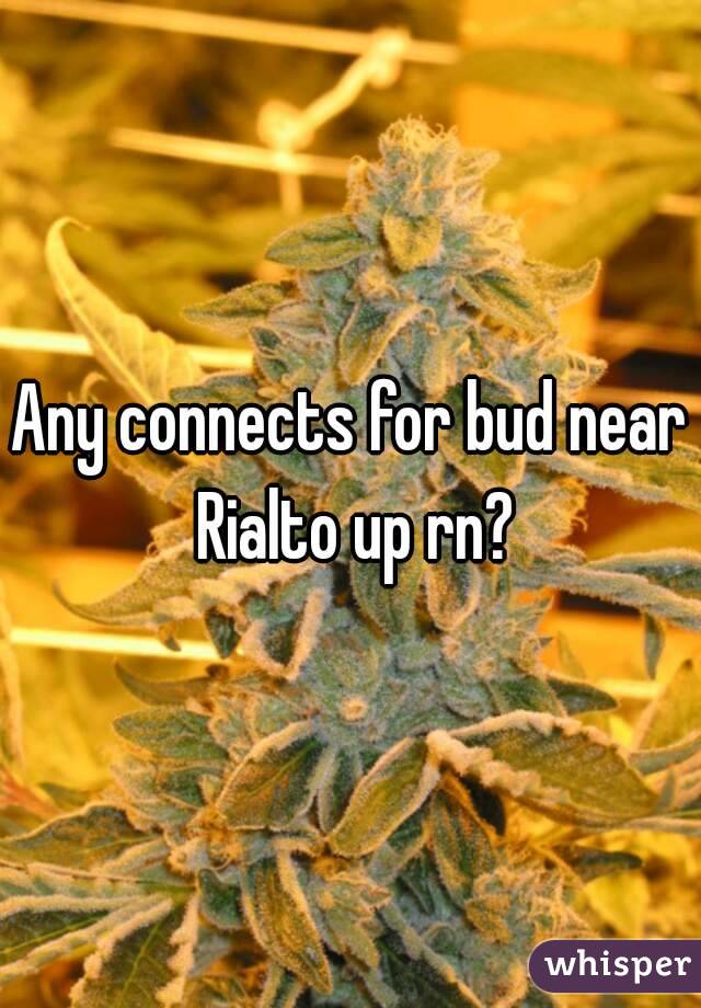 Any connects for bud near Rialto up rn?