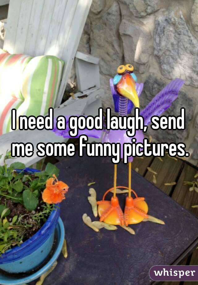 I need a good laugh, send me some funny pictures.