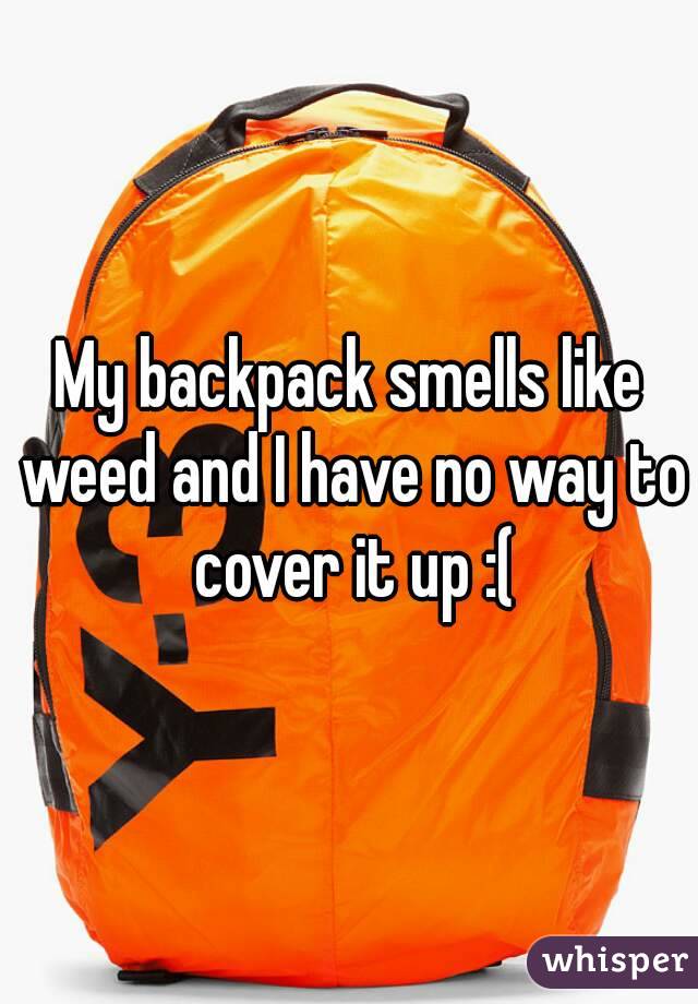 My backpack smells like weed and I have no way to cover it up :(