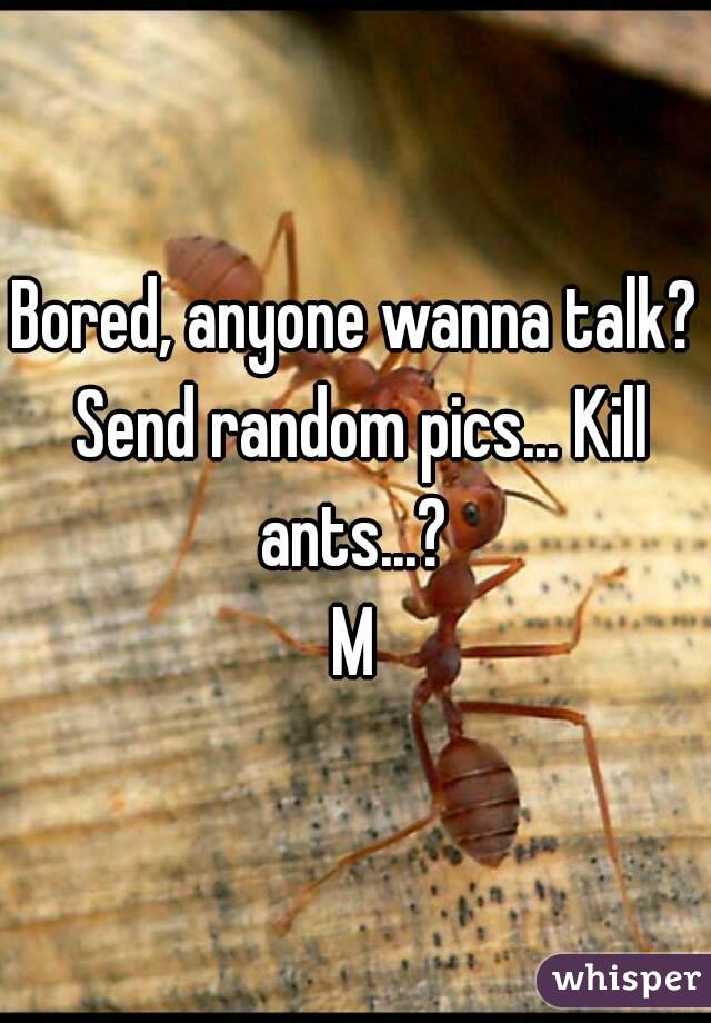 Bored, anyone wanna talk? Send random pics... Kill ants...? 
M