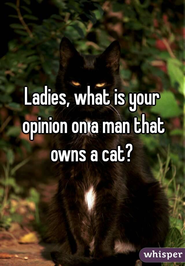 Ladies, what is your opinion on a man that owns a cat? 