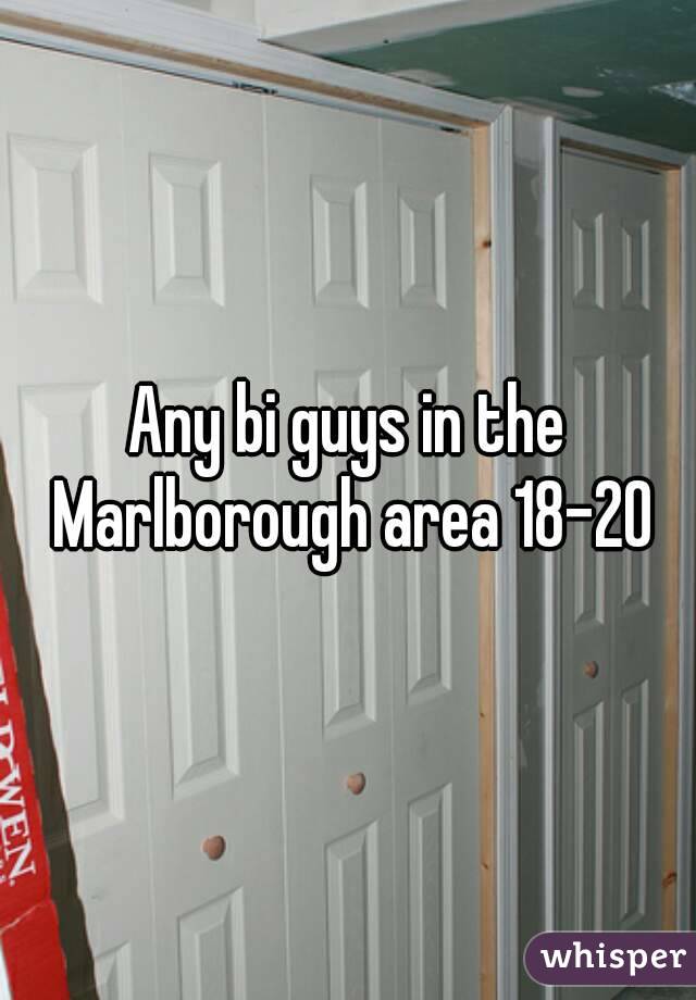 Any bi guys in the Marlborough area 18-20