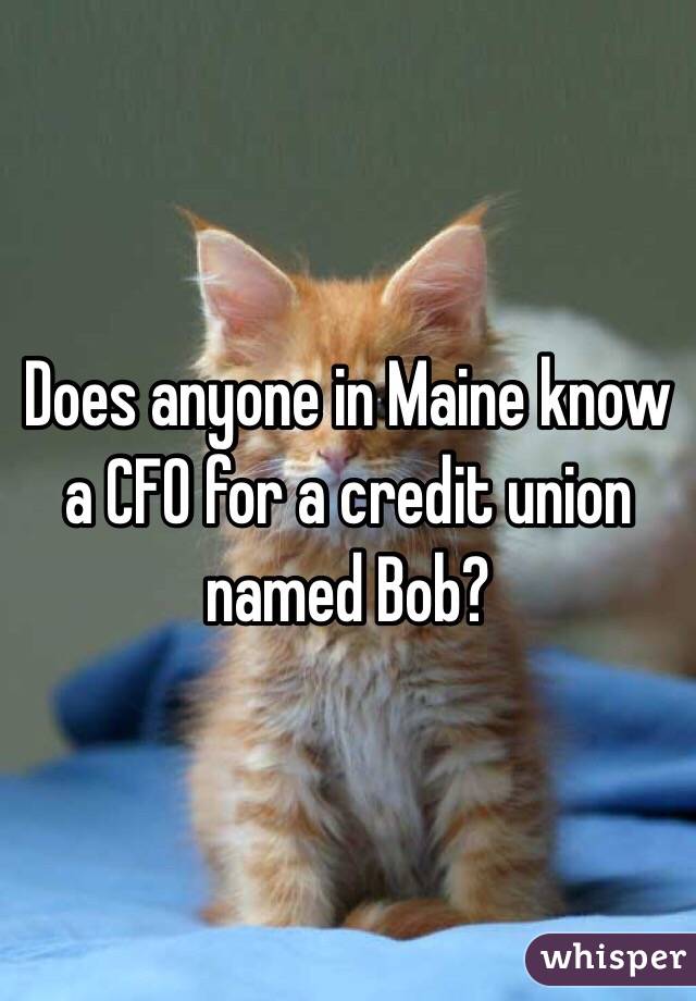 Does anyone in Maine know a CFO for a credit union named Bob?