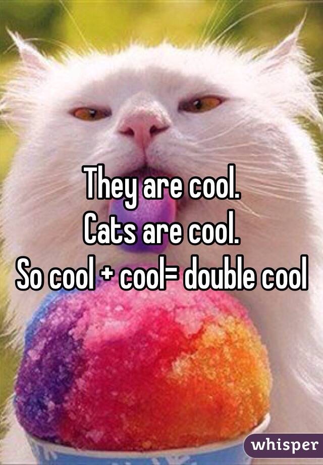 They are cool.
Cats are cool.
So cool + cool= double cool