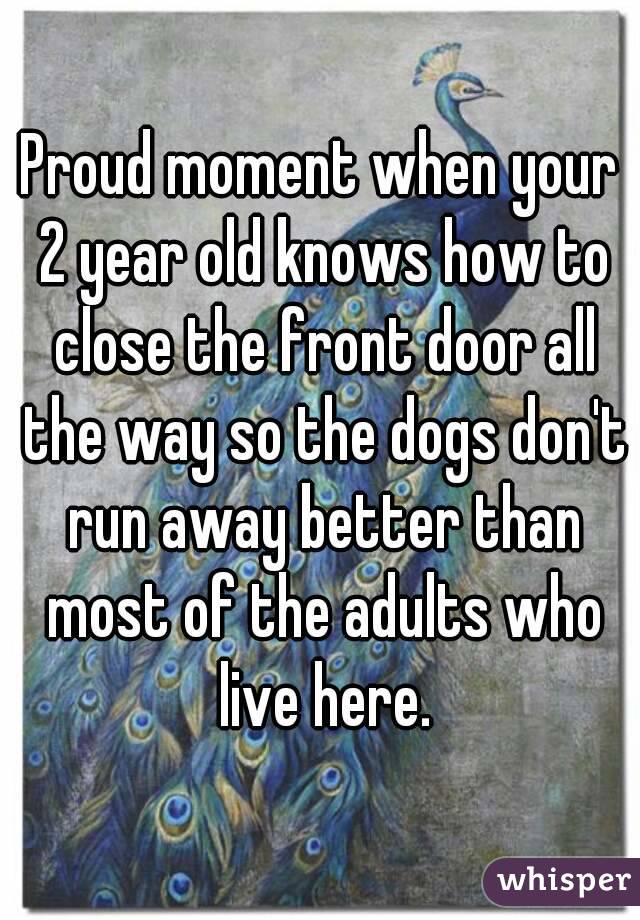 Proud moment when your 2 year old knows how to close the front door all the way so the dogs don't run away better than most of the adults who live here.