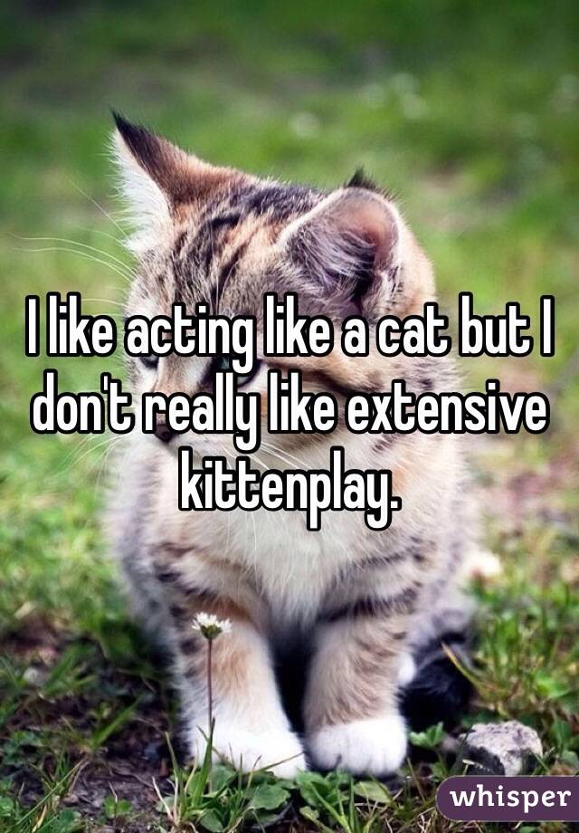 I like acting like a cat but I don't really like extensive kittenplay. 