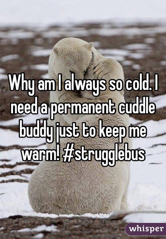 Why am I always so cold. I need a permanent cuddle buddy just to keep me warm! #strugglebus
