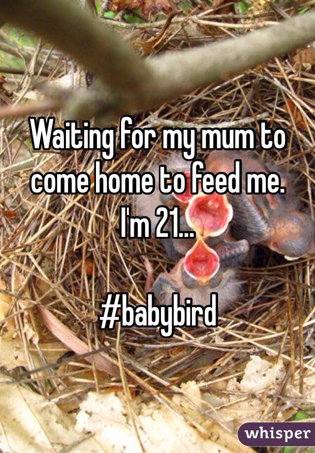 Waiting for my mum to come home to feed me.
I'm 21...

#babybird