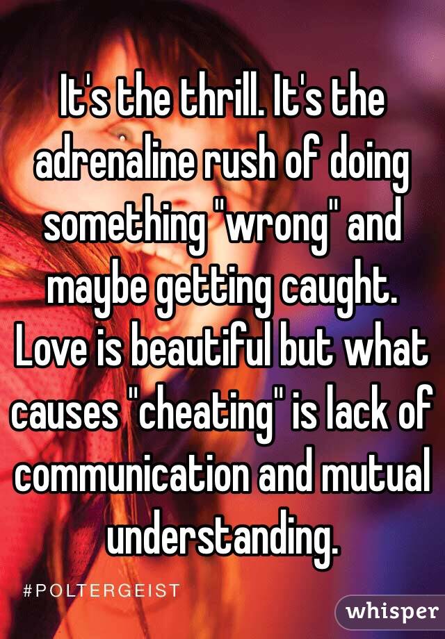 It's the thrill. It's the adrenaline rush of doing something "wrong" and maybe getting caught. Love is beautiful but what causes "cheating" is lack of communication and mutual understanding. 