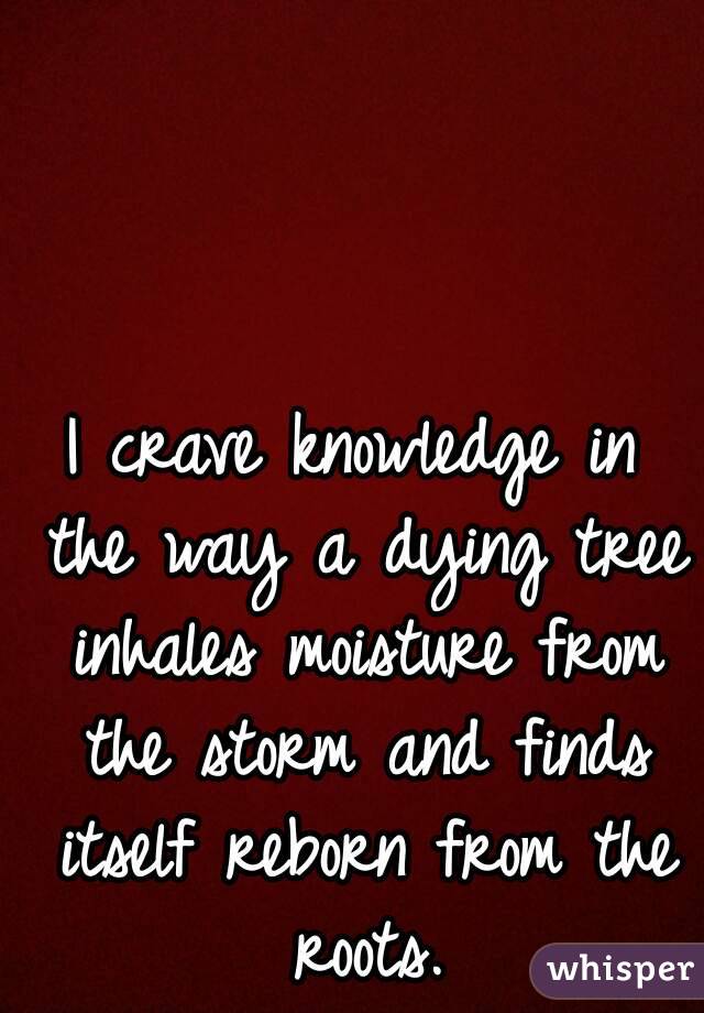I crave knowledge in the way a dying tree inhales moisture from the storm and finds itself reborn from the roots.