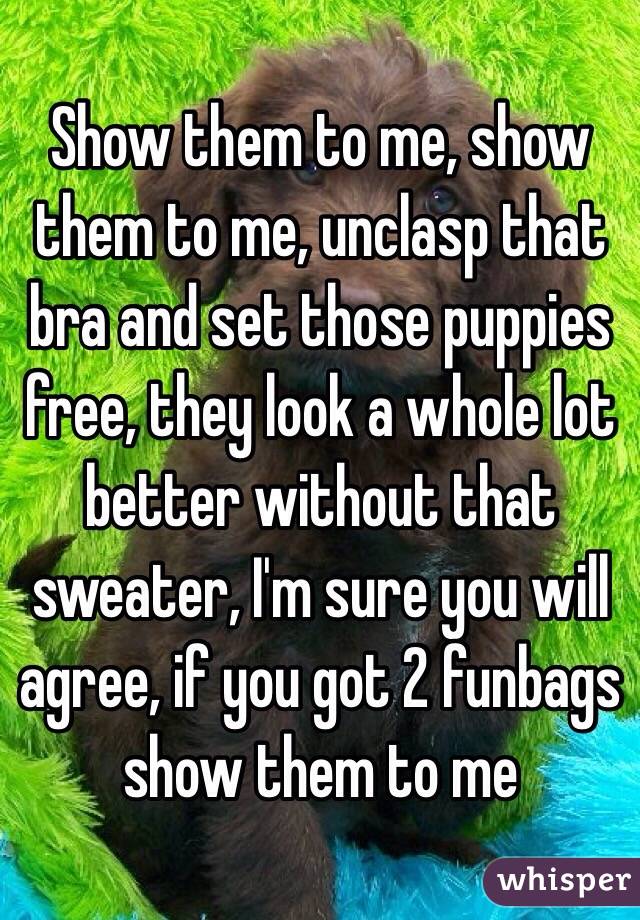 Show them to me, show them to me, unclasp that bra and set those puppies free, they look a whole lot better without that sweater, I'm sure you will agree, if you got 2 funbags show them to me