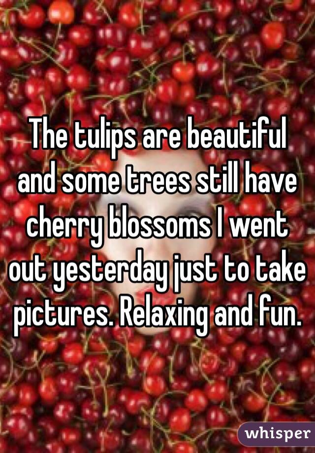 The tulips are beautiful and some trees still have cherry blossoms I went out yesterday just to take pictures. Relaxing and fun. 