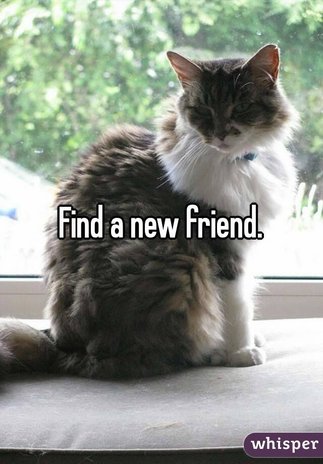 Find a new friend.