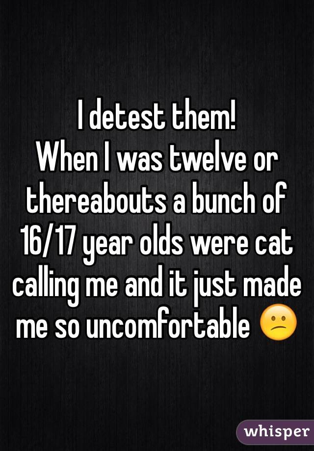 I detest them! 
When I was twelve or thereabouts a bunch of 16/17 year olds were cat calling me and it just made me so uncomfortable 😕