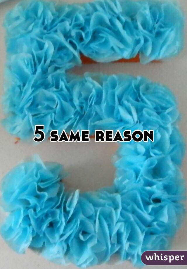 5 same reason 