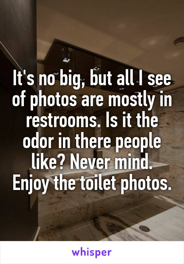 It's no big, but all I see of photos are mostly in restrooms. Is it the odor in there people like? Never mind. Enjoy the toilet photos.