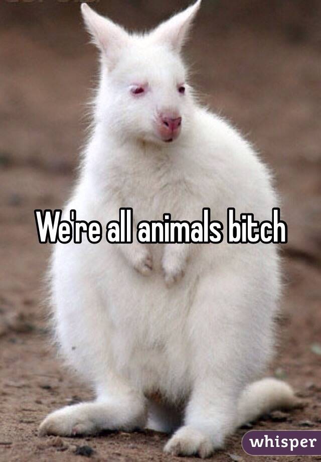 We're all animals bitch 