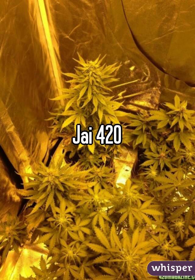 Jai 420