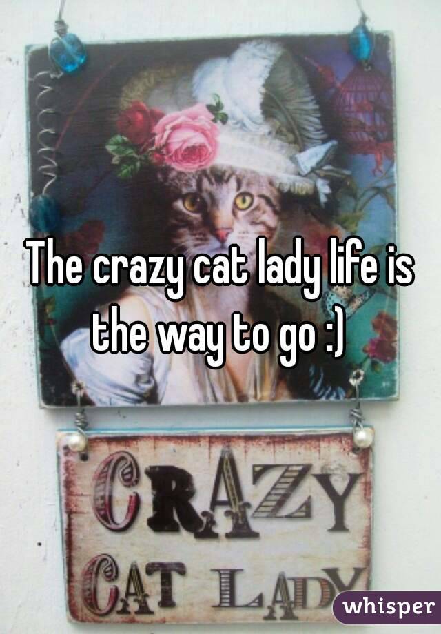 The crazy cat lady life is the way to go :) 