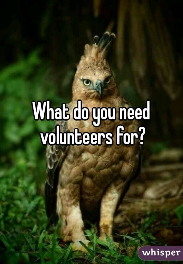 What do you need volunteers for?