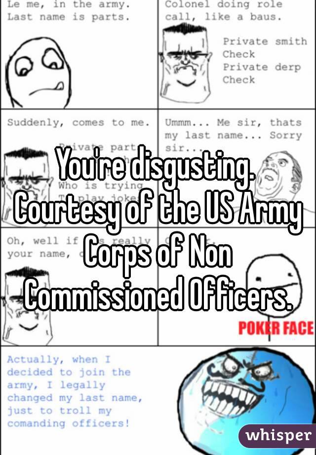 You're disgusting. Courtesy of the US Army Corps of Non Commissioned Officers.