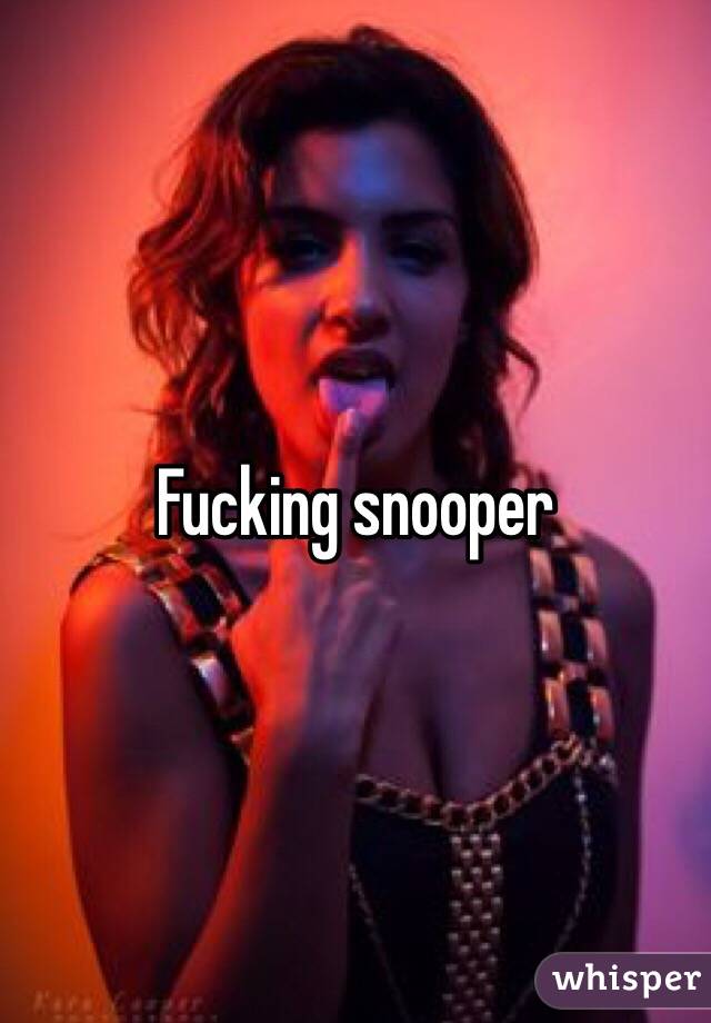 Fucking snooper