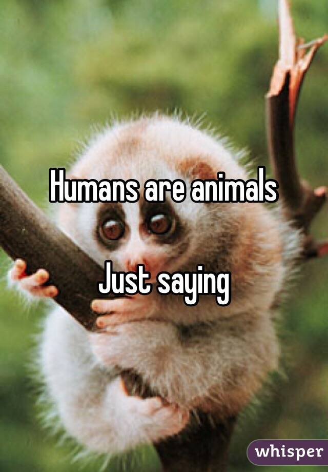 Humans are animals

Just saying