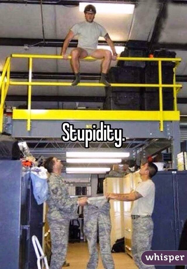 Stupidity. 