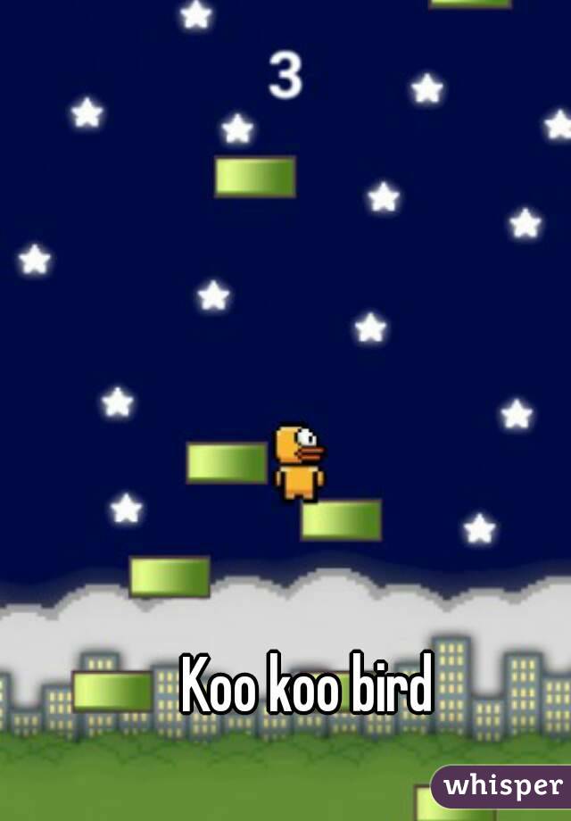 Koo koo bird