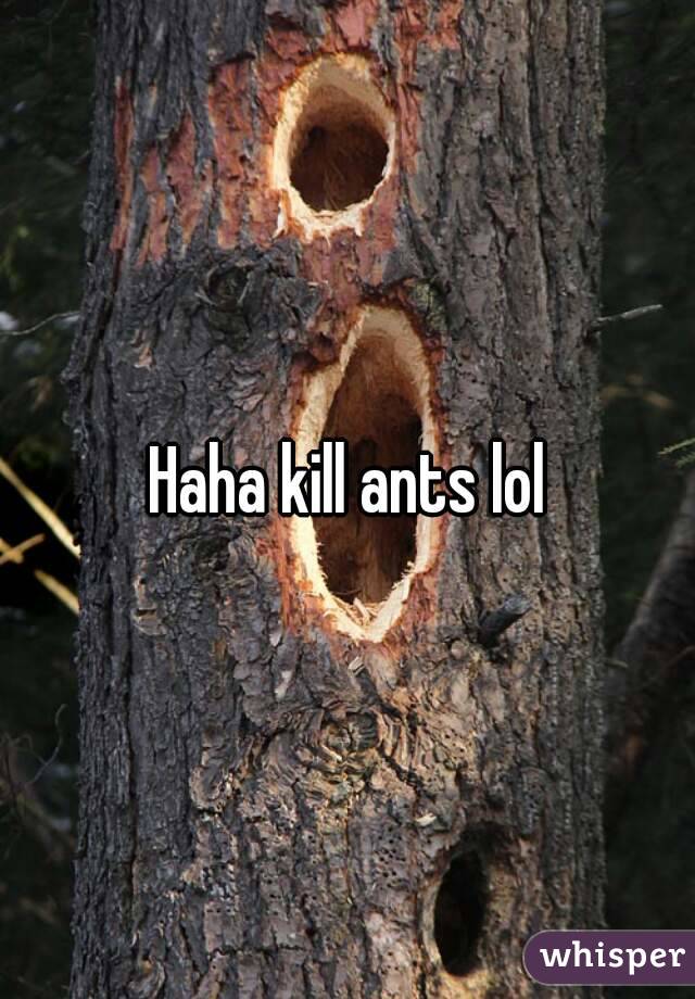 Haha kill ants lol