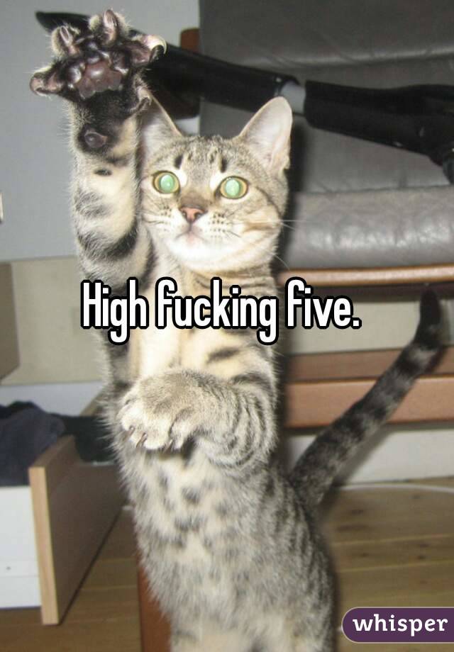 High fucking five. 