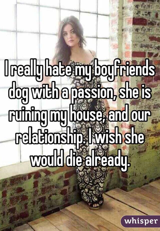 I really hate my boyfriends dog with a passion, she is ruining my house, and our relationship. I wish she would die already.