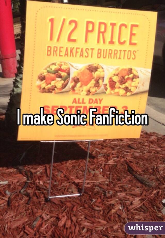 I make Sonic Fanfiction