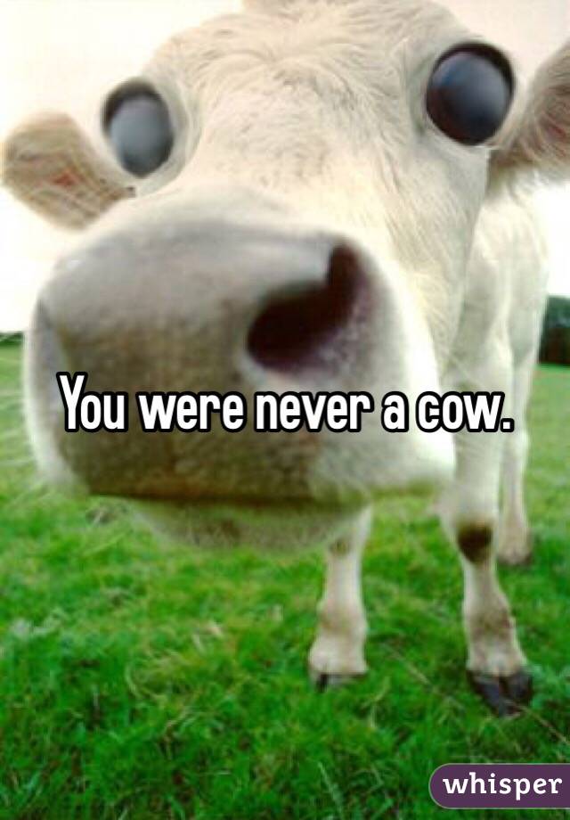 You were never a cow. 