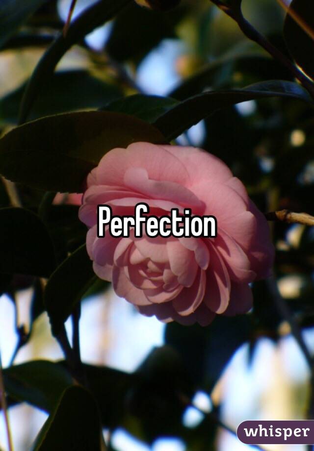 Perfection