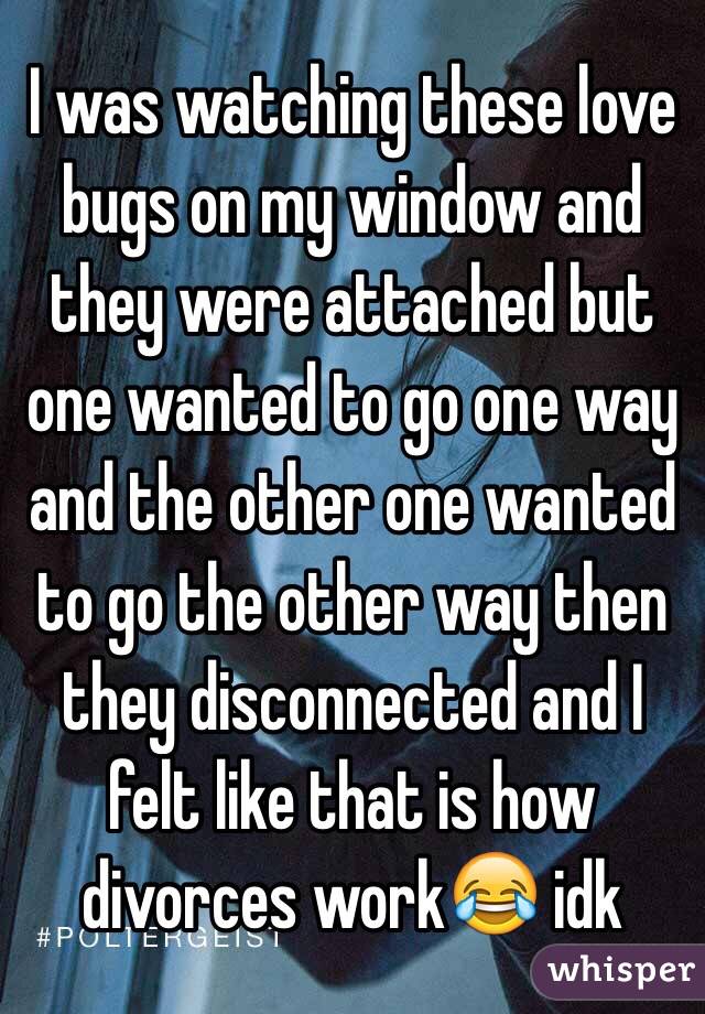 I was watching these love bugs on my window and they were attached but one wanted to go one way and the other one wanted to go the other way then they disconnected and I felt like that is how divorces work😂 idk