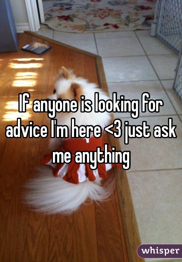If anyone is looking for advice I'm here <3 just ask me anything
