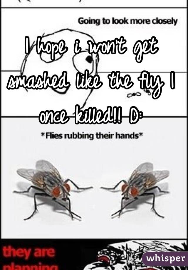 I hope i won't get smashed like the fly I once killed!! D: