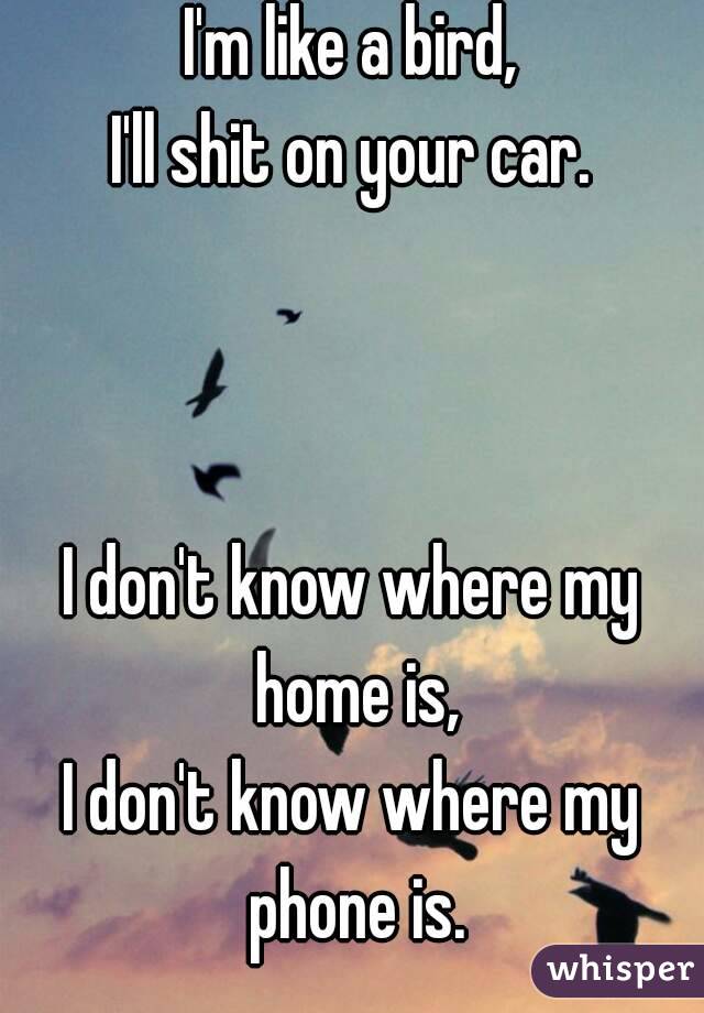 I'm like a bird,
I'll shit on your car.



I don't know where my home is,
I don't know where my phone is.
