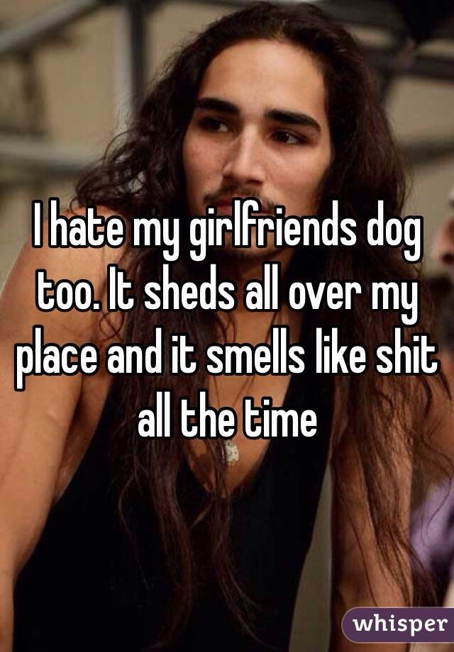 I hate my girlfriends dog too. It sheds all over my
place and it smells like shit all the time