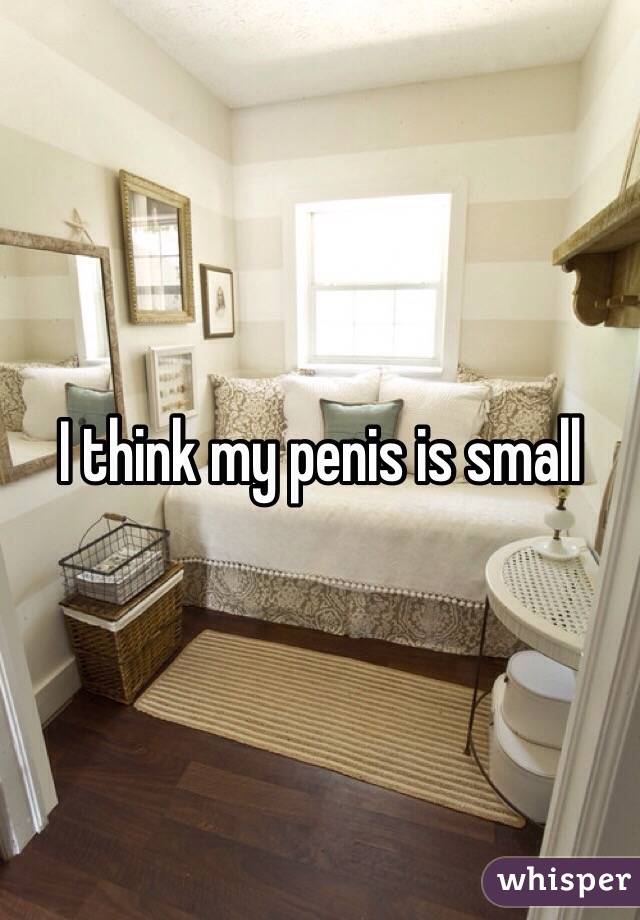 I Think My Penis Is Small 24