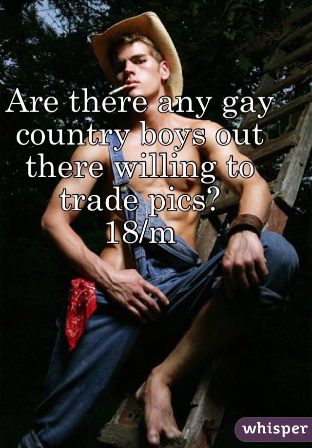 Gay Trade 66