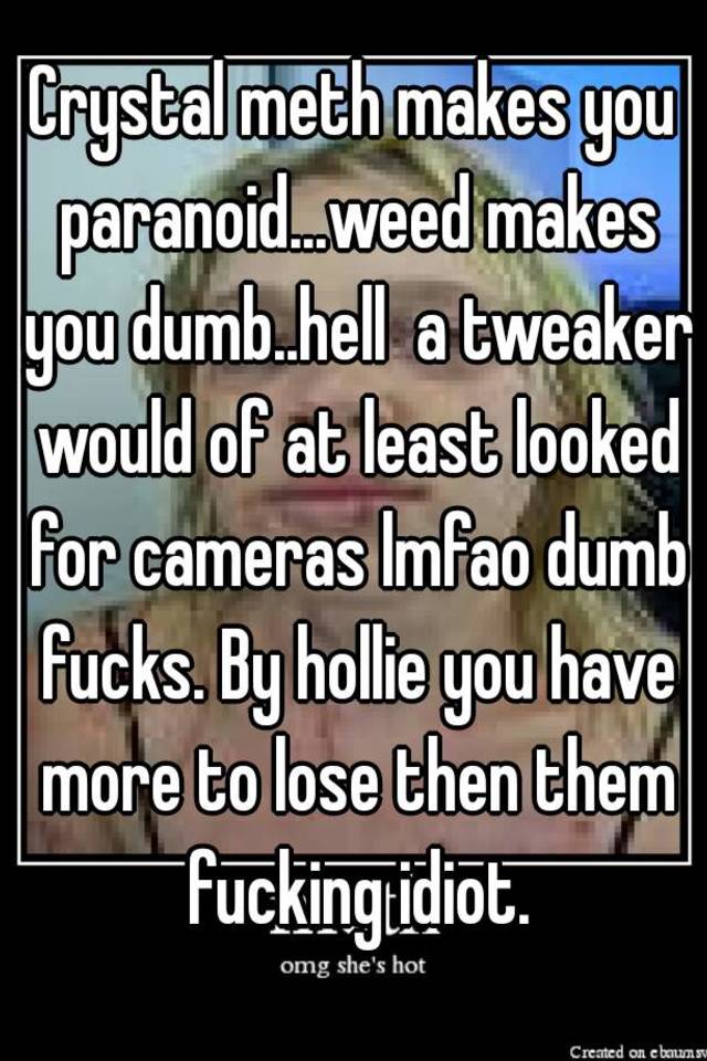 Crystal Meth Makes You Paranoidweed Makes You Dumbhell A Tweaker 
