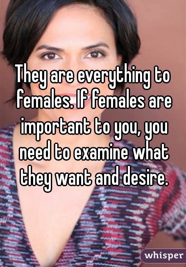 They are everything to females. If females are important to you, you need to examine what they want and desire.