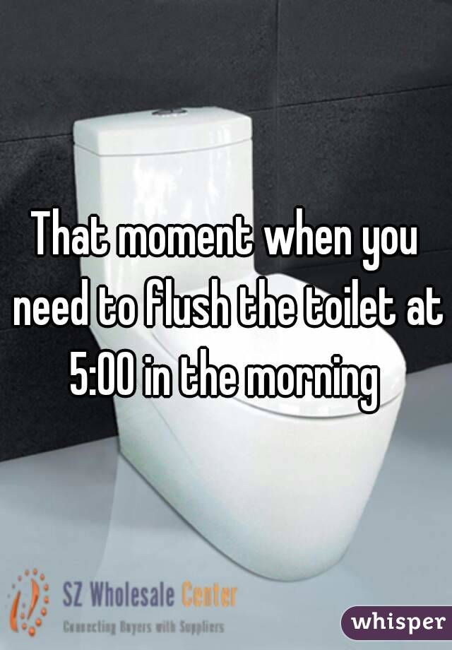 That moment when you need to flush the toilet at 5:00 in the morning 