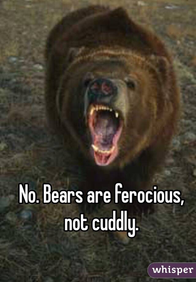No. Bears are ferocious, not cuddly.