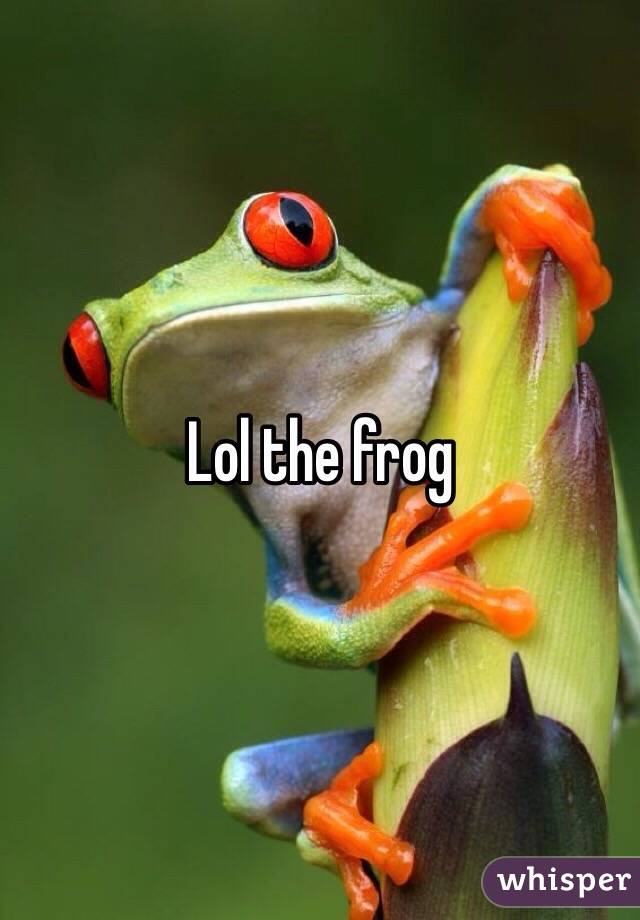 Lol the frog 